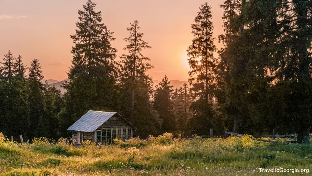 Four Seasons of Georgian Charm