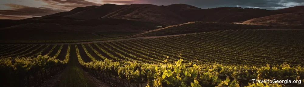 Georgian Wine – An 8,000-Year-Old Tradition